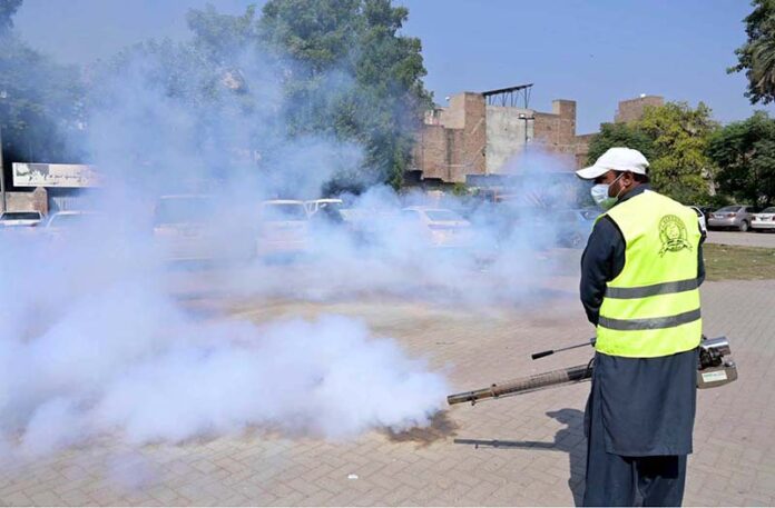 A Municipal Corporation official is busy conducting anti-dengue spray at Company Bagh