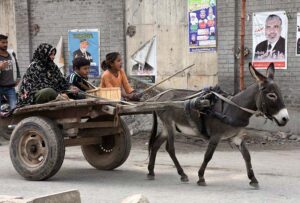 Gypsy family traveling on a donkey cart heading towards their destination