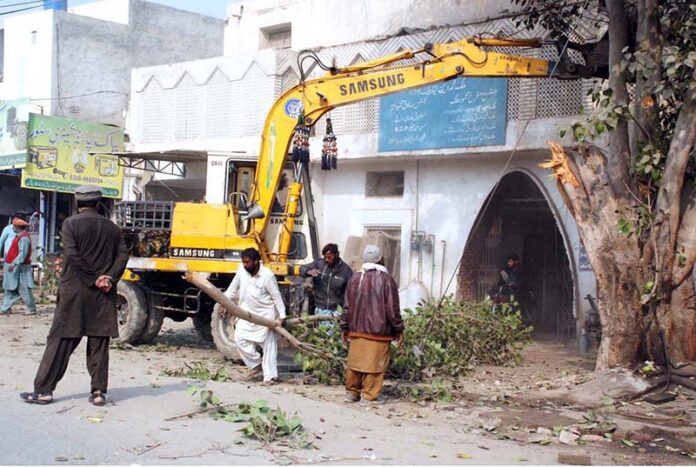 Municipal Corporation workers trees are being cut down to widen at the Eid Gah Road