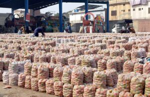 Laborers are busy in unloading tomatoes from the delivery truck in the vegetable market.