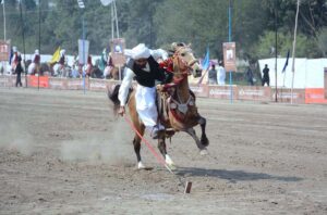 Horse riders showcase their skills in a tent-pegging competition held as part of the 10th Lyallpur Arts & Literature Festival at the University of Agriculture Faisalabad (UAF).