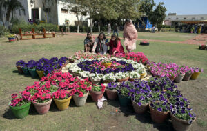 Students busy on drawing competition during Art & Spring festival at public school.