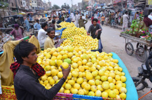 Vendors displaying the melons to attract the customers on the footpath at Latifabad.