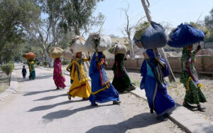 Villager women carrying heavy load of fodder on head on the way to their destination.