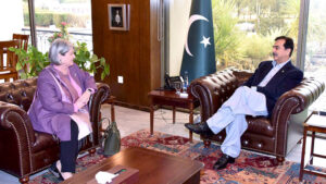 Chairman Senate, Syed Yousuf Raza Gillani exchanging views with H.E. Mary O' Neill, Ambassador of Ireland at Parliament House.