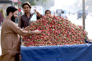 A man selects ripe strawberries from a roadside vendor in the metropolis.