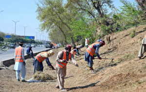 CDA workers are busy cleaning the roadside greenbelt in the Federal Capital.