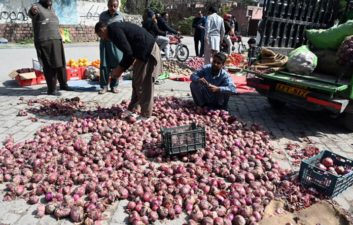 Laborer busy sorting good quality onions at vegetable market in the Federal Capital