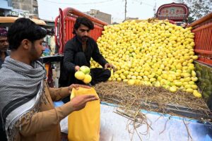 A vendor selling melon on his pickup van at Fruit Market in the City