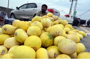 A vendor display and sells fruit to attract customers at weekly bazaar H-9 sector in the Federal Capital.