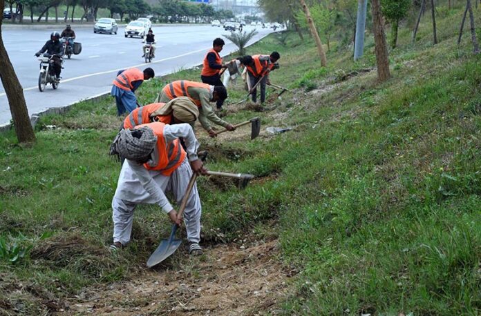 Workers diligently clean the green belt along Srinagar Highway in the Federal Capital for new plantation ahead of the coming spring season