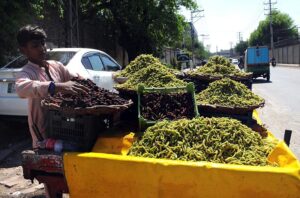 A young vendor is busy displaying the seasonal fruit Mulberry (Shahtoot ) to attract customers at his roadside setup.