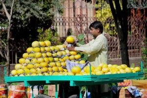 A vendor arranging and displaying seasonal fruit melon to attract customers at his hand cart setup