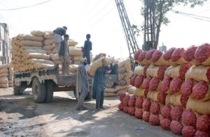 Labourers unloading potato bags from the delivery truck at Vegetable Market.