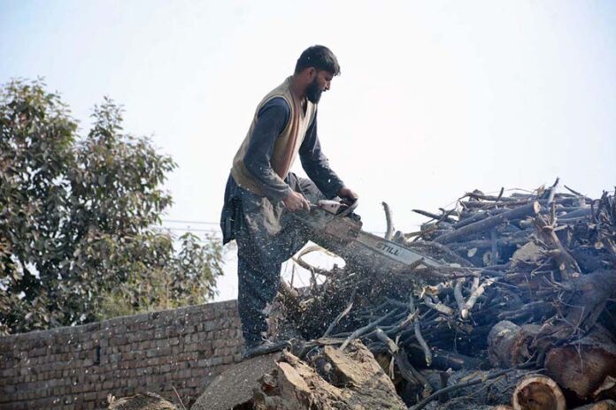 A worker cutting wood with a hand wood cutter machine