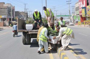 PHA staffers are busy placing flower pots on the road divider during beautification work in the city.