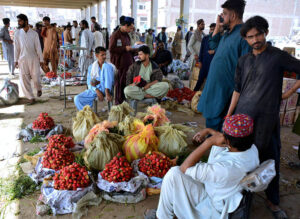 Laborers diligently store and pack fresh tomatoes at Subzi Mandi to meet market demand during the holy month of Ramadan