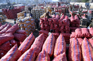 Laborers are busy unloading sacks of potatoes and Onions from delivery Vehicles at Vegetable market.