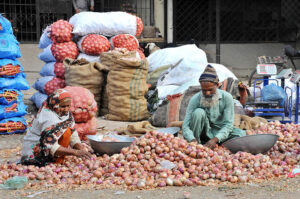 An elderly couple carefully sorts good-quality onions at the vegetable market.