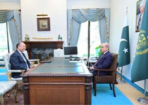 Federal Minister for Petroleum Musaddiq Malik calls on Prime Minister Muhammad Shehbaz Sharif.