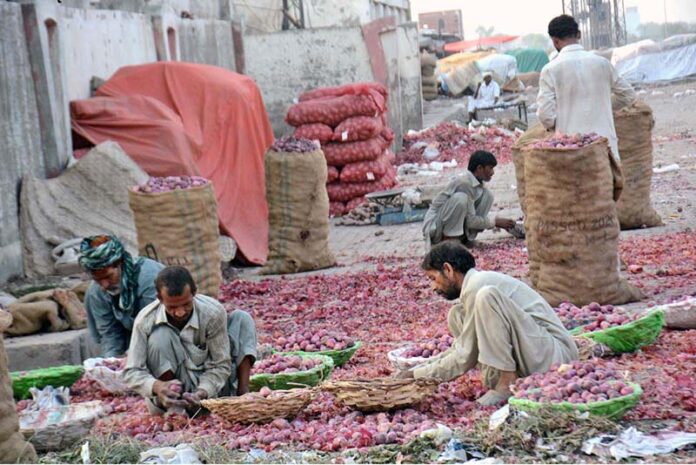 Labourers are busy sorting good quality onions in the vegetable market of the provincial capital as increase in the consumption of onions in various dishes during holy fasting month of Ramadan