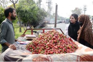 A vendor selling strawberry to customers at his roadside setup during holy fasting month of Ramadan.