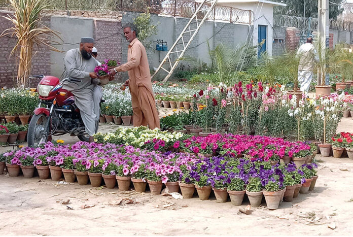 A motorcyclist buys colorful flowers from a roadside nursery stall