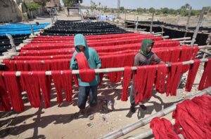 Workers are busy making fabric threads, which are laid on bamboos to dry, at Paretabad area.