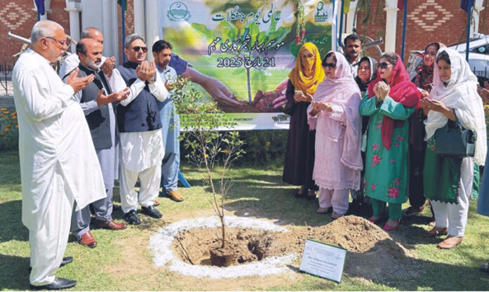 Former MPA Punjab Fozis Ayub Qureshi and others offering Dua on the occasion of World Forest Day Tree Plantation Campaign at Museum