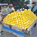 People purchasing melons on the road side stall.