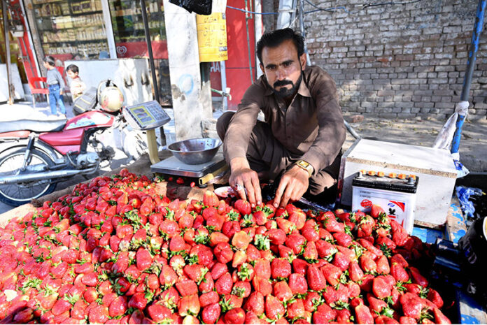 A vendor decorates Strawberry to attract customers' attention at his road side setup