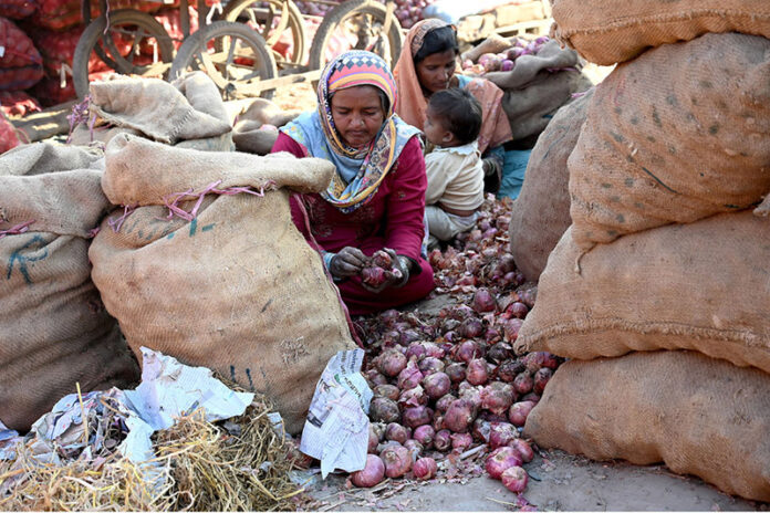 Women workers sorting onions at vegetable market as world celebrate the International Women's Day. International Women's Day is celebrated in many countries around the world. It is a day when women are recognized for their achievements without regard to divisions, whether national, ethnic, linguistic, cultural, economic or political